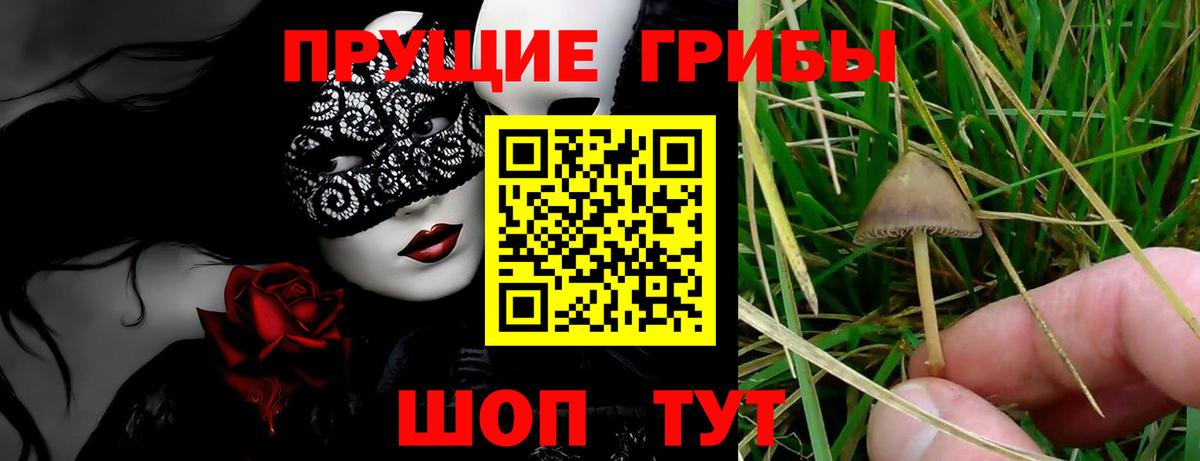 Калуга  Псилоцибиновые грибы Magic Shrooms  Вход с VPN 